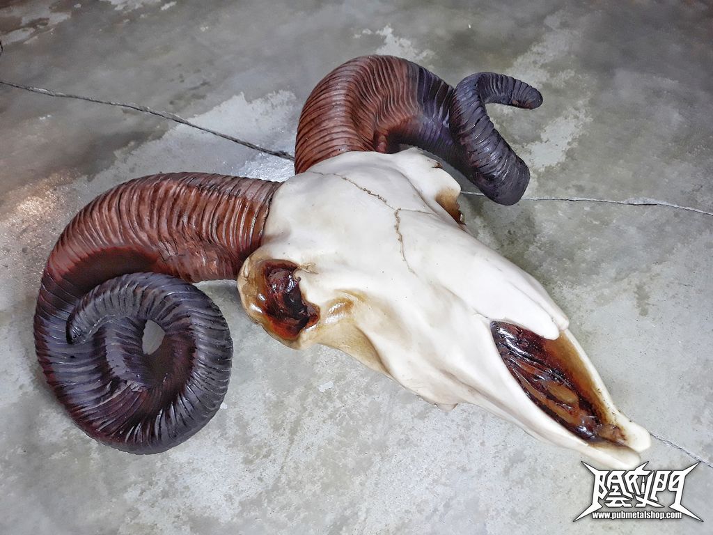 Rams Skull Medium 33cm 3.jpg