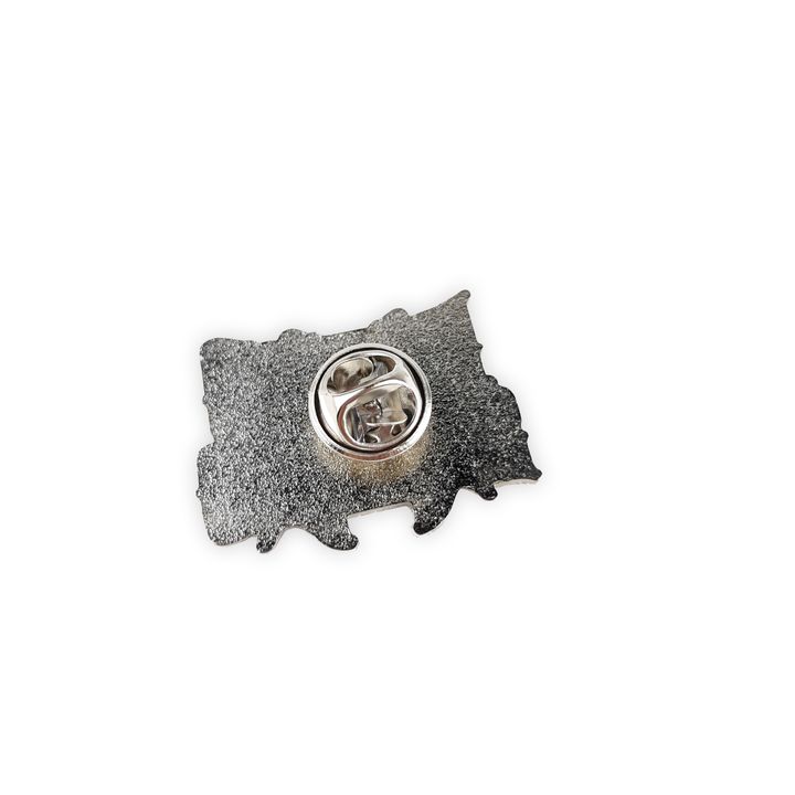 Lynyrd Skynyrd metal pin (2)