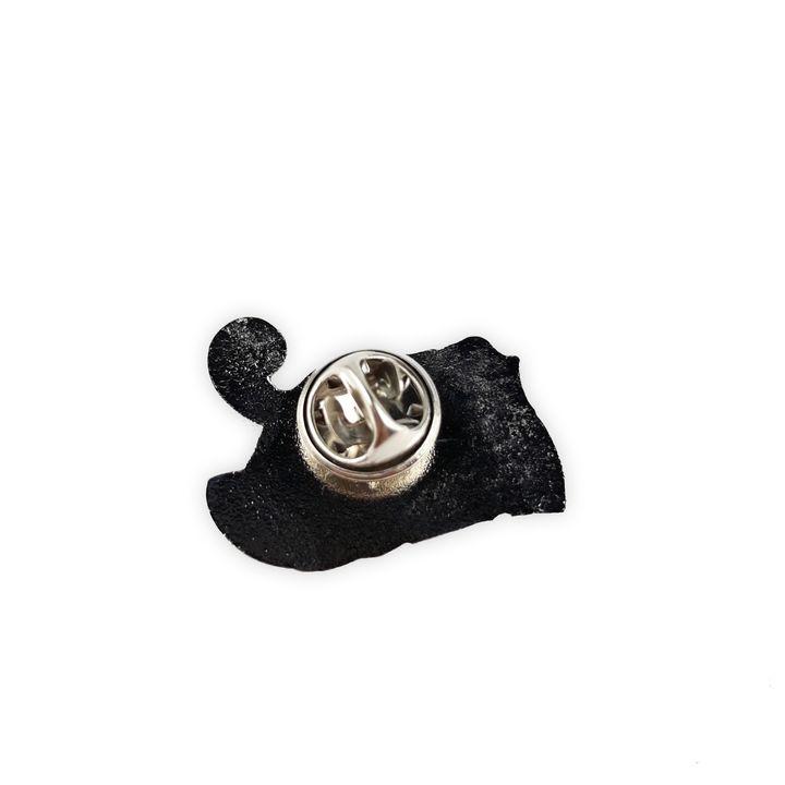 Pin Floyd metal pin (2)