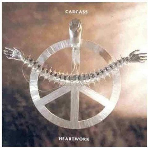 61gKKf8yMGL._SL1200_