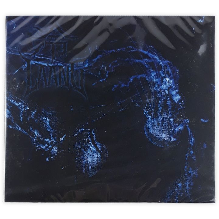 冷-Xinteng 心疼 CD (1)