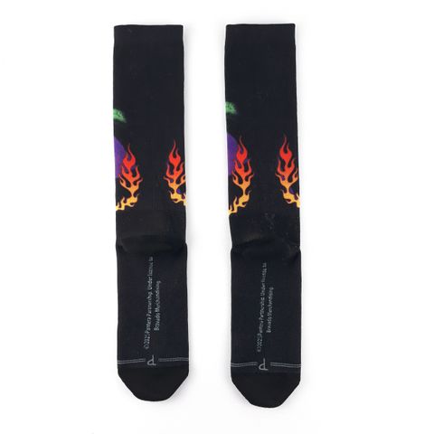 Pantera-Vulgar Display of Power Socks 2