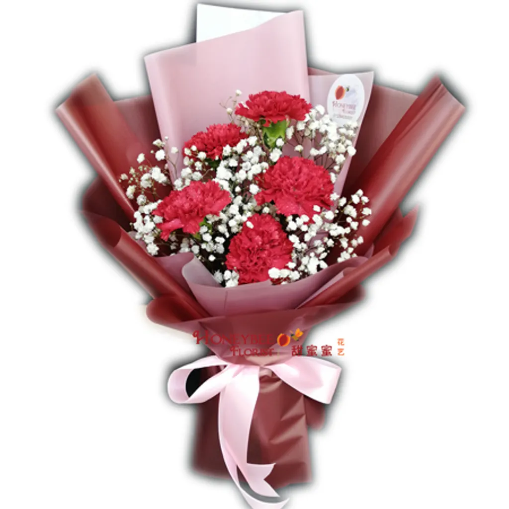 Bouquet-Carnation4.png