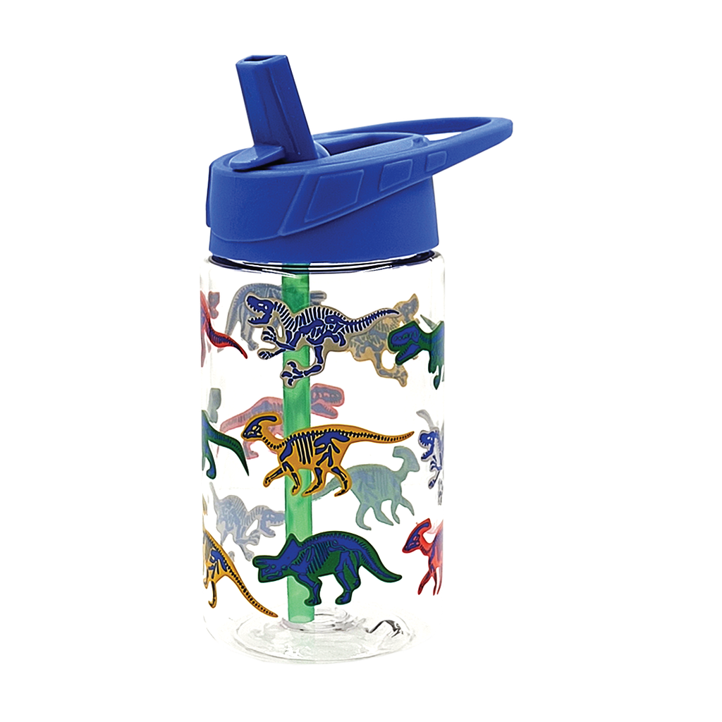 DINO SMALL WATERBOTTLE.png