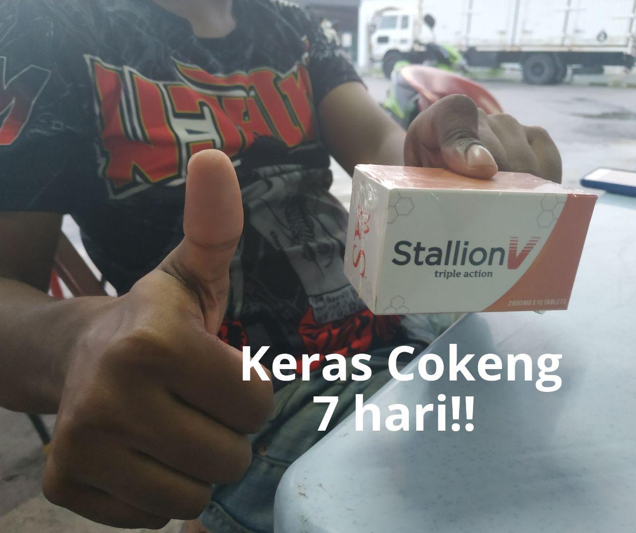 Stallion V Triple Action – Kedai MIa