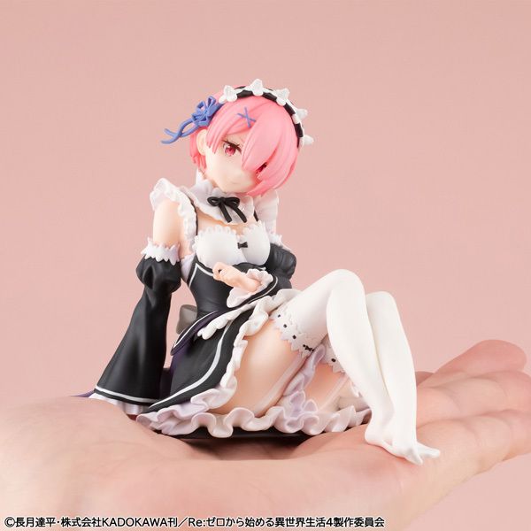 Palm Size Ram