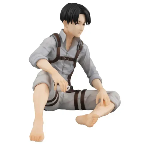Palm-size Levi