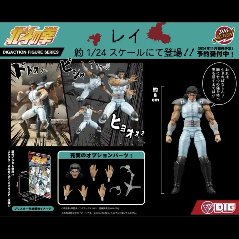 DIGACTION REI