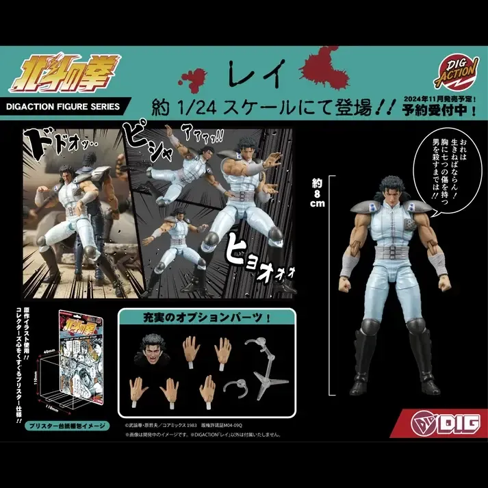 DIGACTION REI