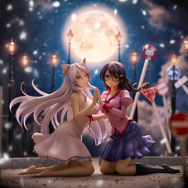 Tsubasa Hanekawa  Set.jpg