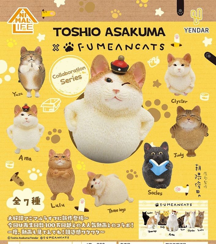 ANIMAL LIFE  Collaboration Series TOSHIO ASAKUMA × FUMEANCATS.jpg