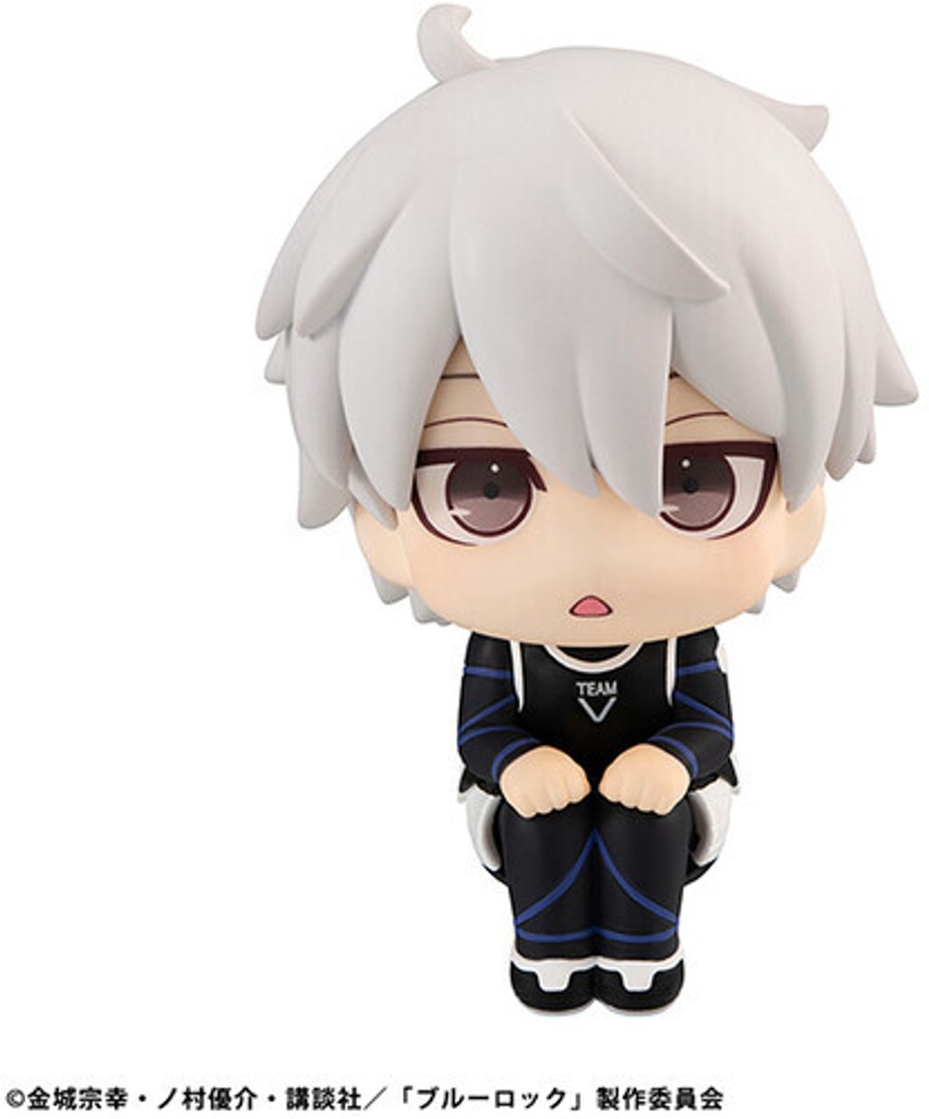 LookUp Seshiro Nagi
