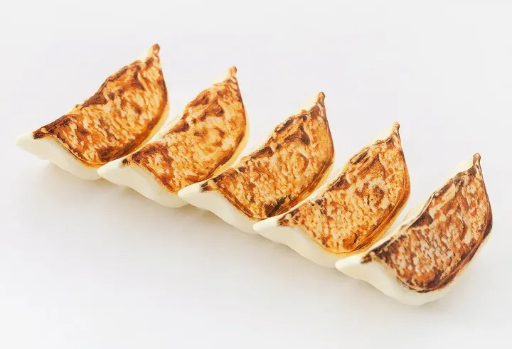 Plastic Model Gyoza