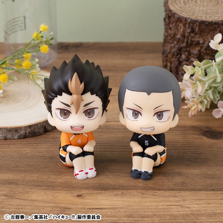 Lookup Haikyu!! Yu Nishinoya & Ryunosuke Tanaka
