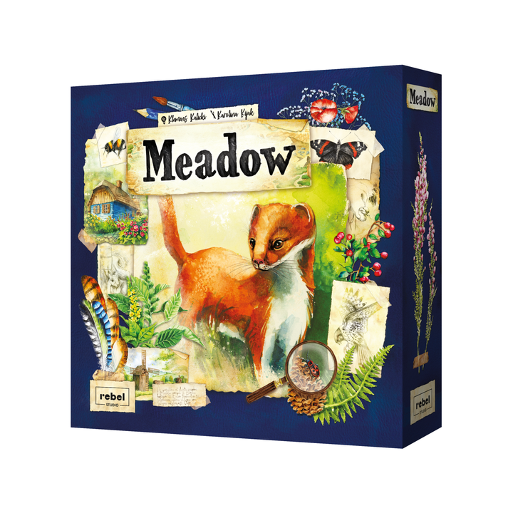Meadow_box3D