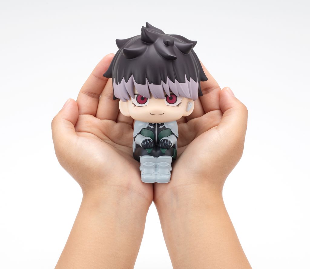 845789 LookUp GenNarumi