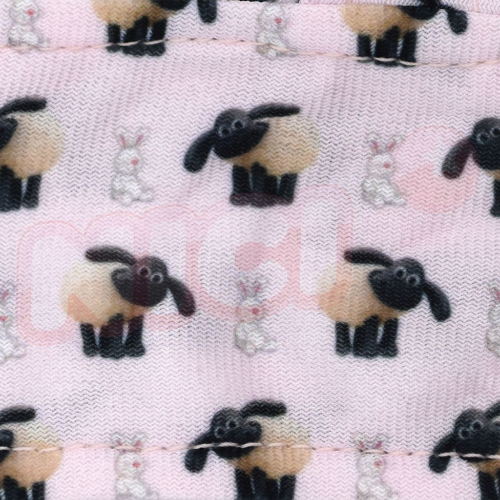 5 (1)