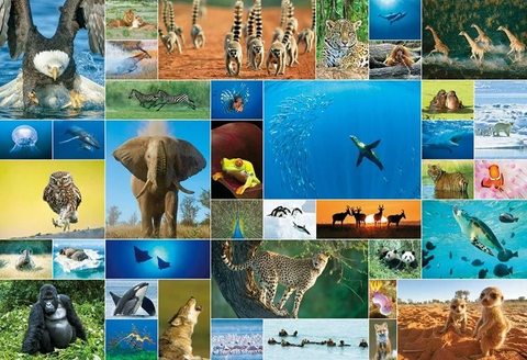 4977524315049_a25120d29cac97bbfd3844cd37274e01__24