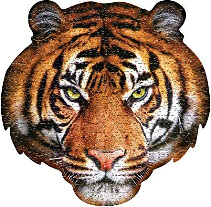 A1HAUiPKkvL._AC_SX425_.jpg