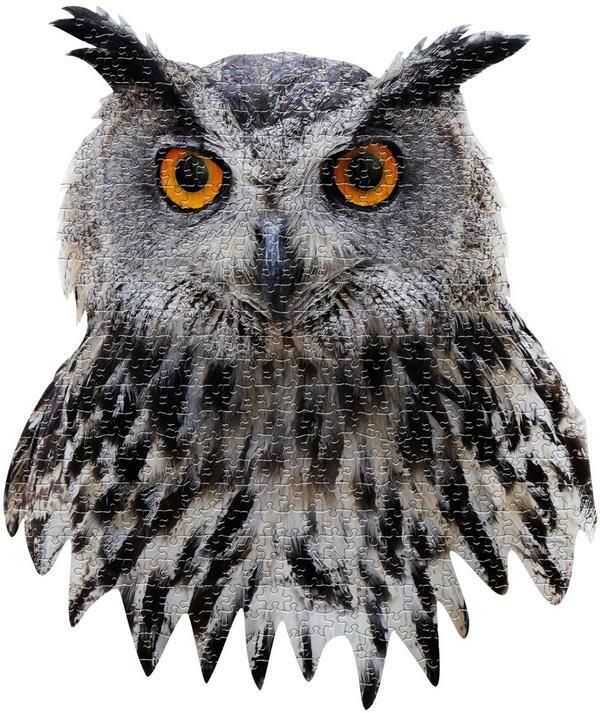 owl_art_1_600x_crop_center.jpg
