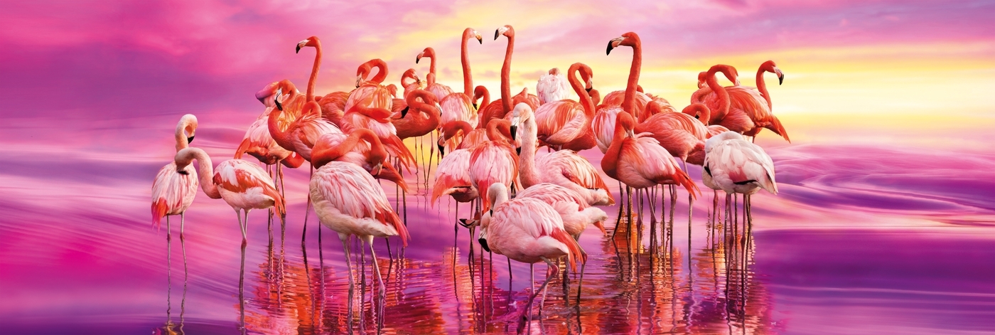 flamingo-dance-1000-piezas-high-quality-collection_w9TM743