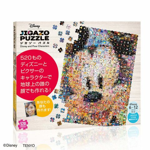 TE_DJ-500-004