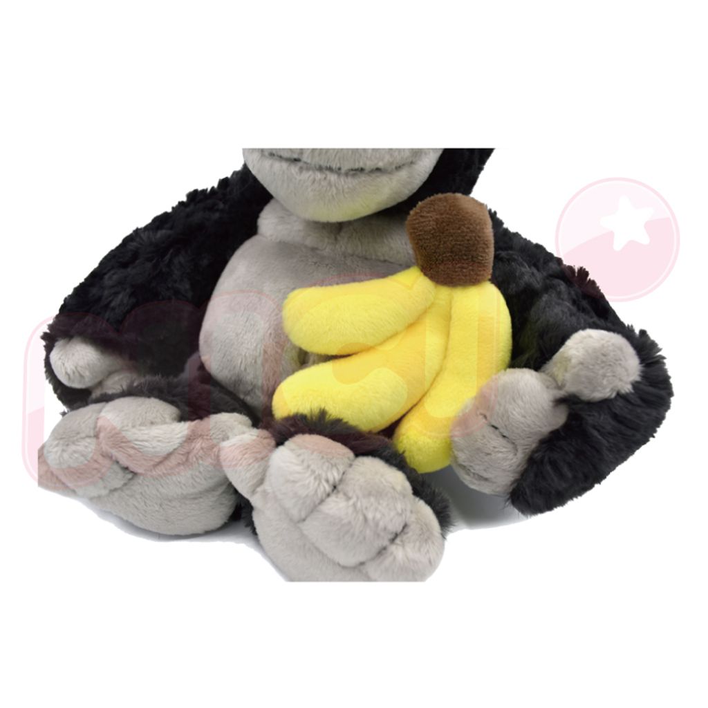 2437_165837976_744_ed_image