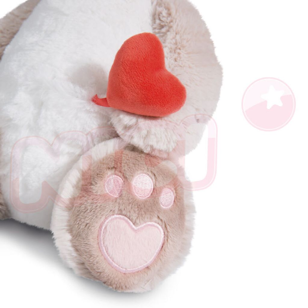 2437_165837976_744_ed_image