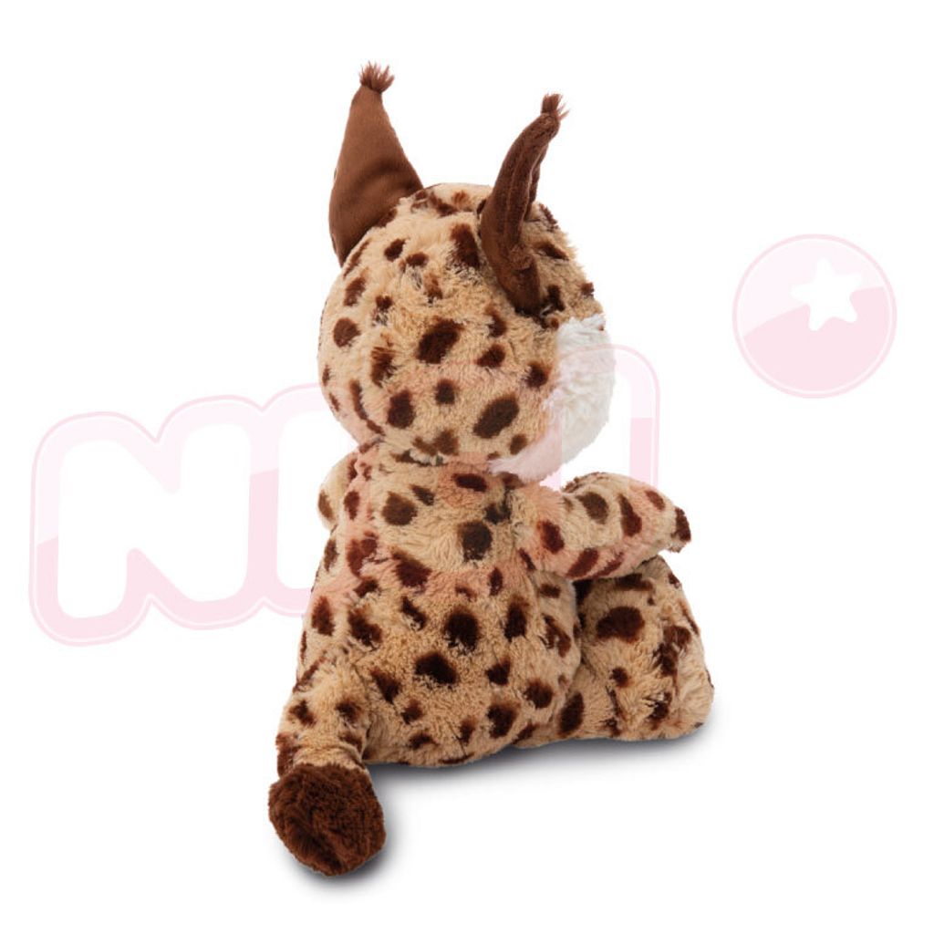 2437_165837976_744_ed_image