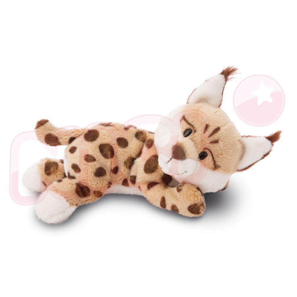 2437_165837976_744_ed_image