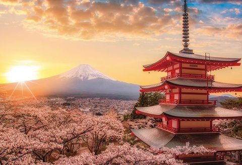 4979817160664_3d2a0e3a0b9687d8c4