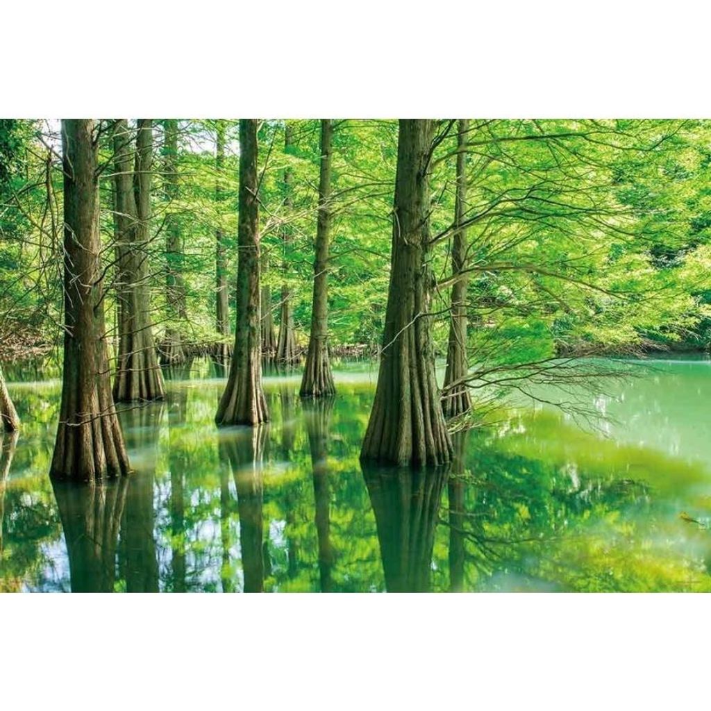 tomozo_4979817134405_i_202305201