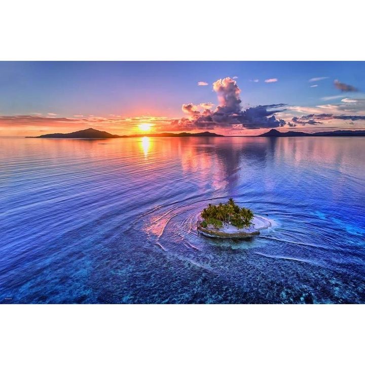 arc-online_4979817133453