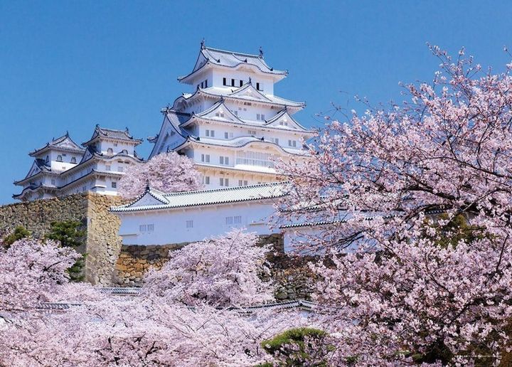 yanoman-jigsaw-puzzle-fragrant-s