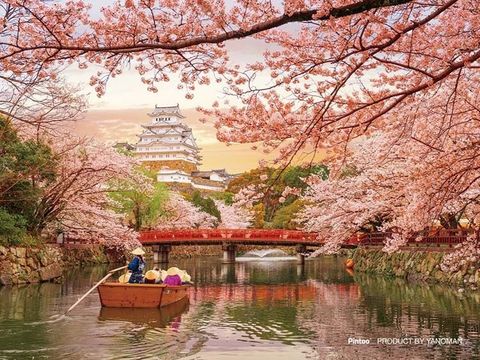 4979817328927_7564b6880090dc002c