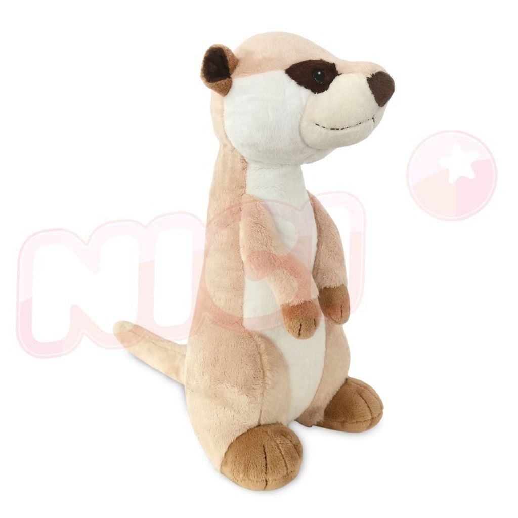 638309032532030000 (1)