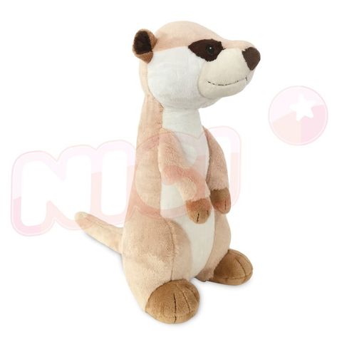 638309032532030000 (1)