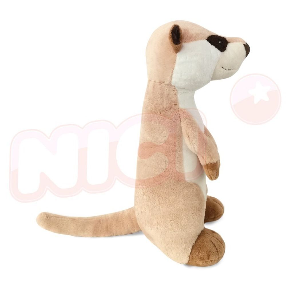 638309032532030000 (2)