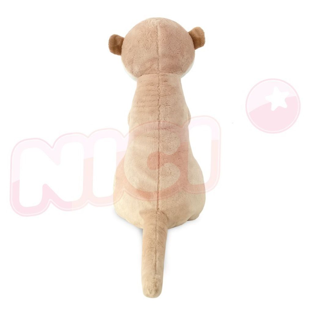 638309032532030000 (3)