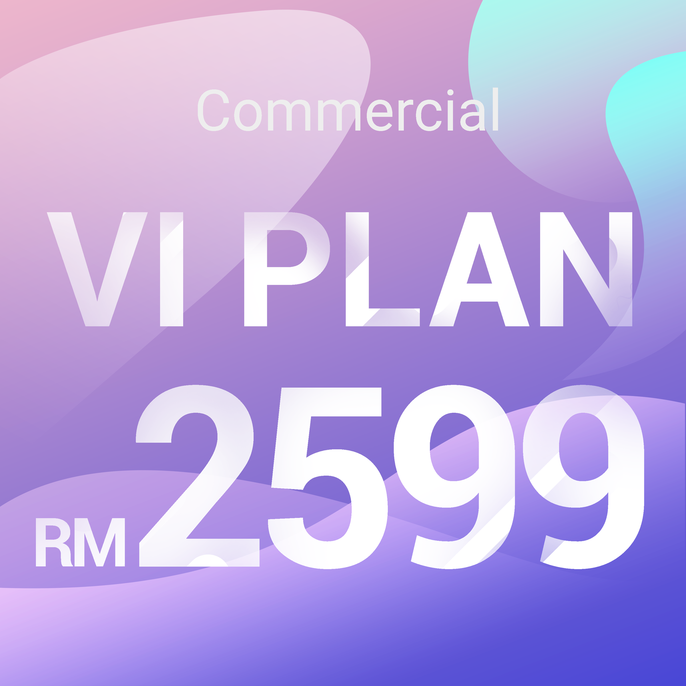 VI_2599.png