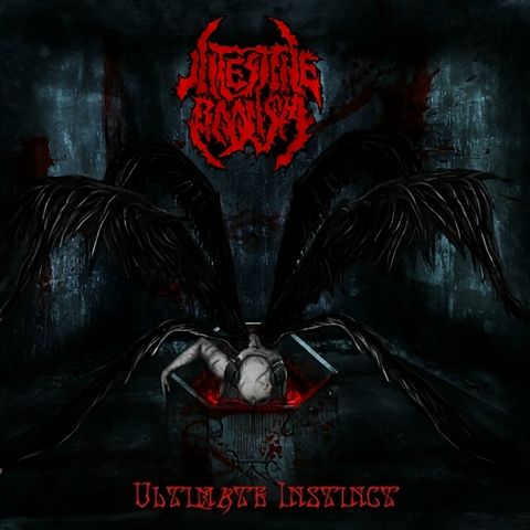 1900x1900-000000-80-0-0