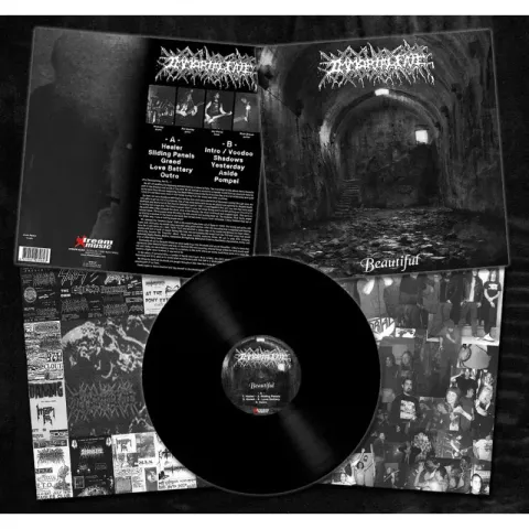 immortal-fate-beautiful-lp-black~2
