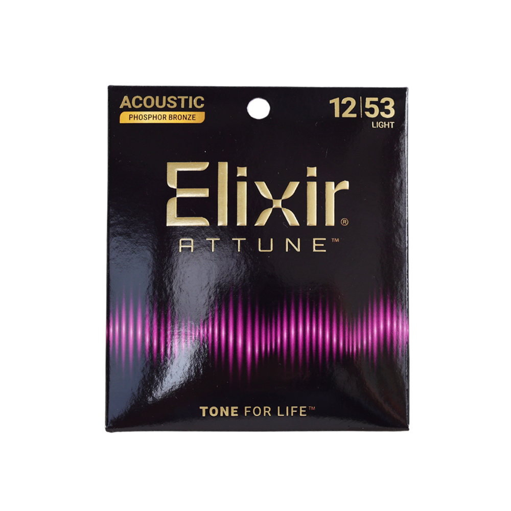 #21052 磷青銅 ATTUNE 12/53