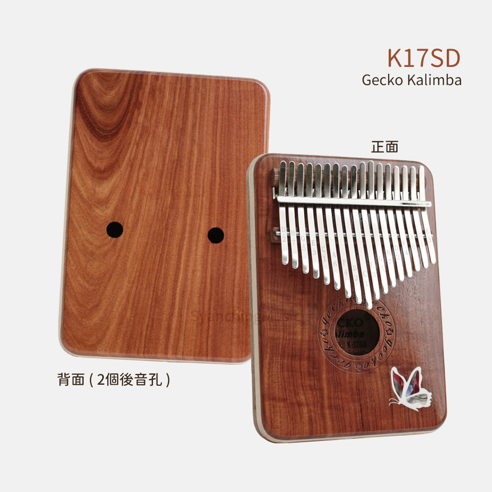 方形網拍圖_Gecko K17SD-6.jpg