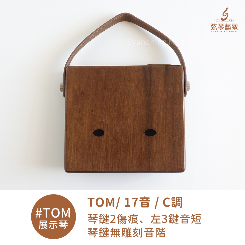 #TOM展示琴-2