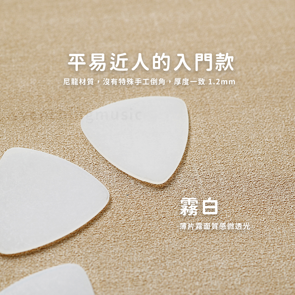 網拍圖_入門中阮彈片_2