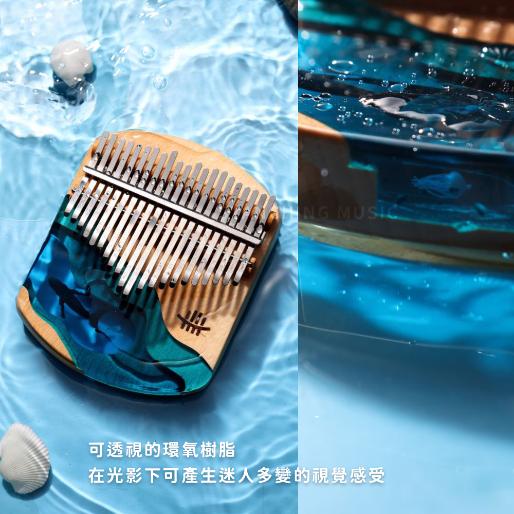 賣場圖_深海藍鯨21音_3