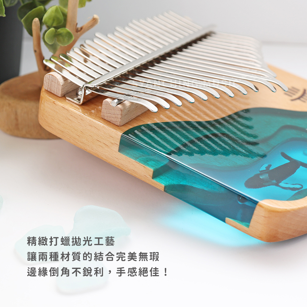 賣場圖_深海藍鯨21音_4