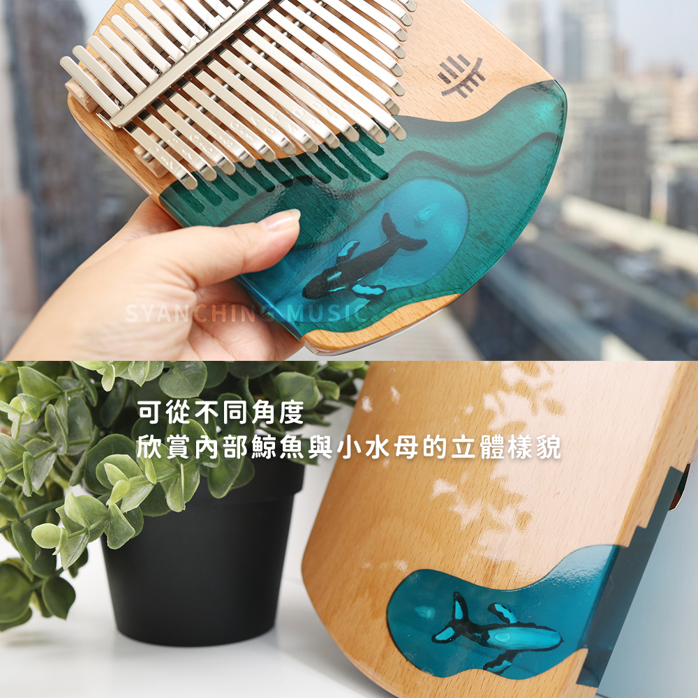 賣場圖_深海藍鯨21音_5