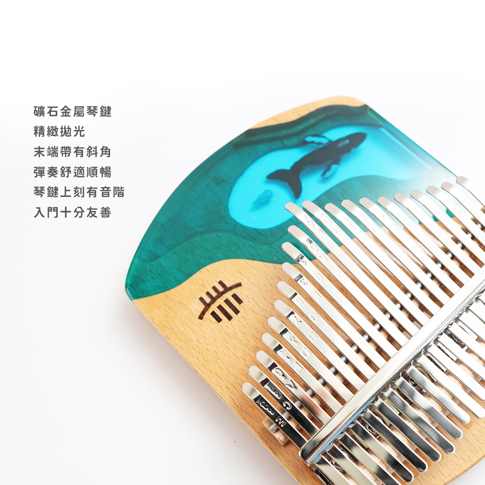 賣場圖_深海藍鯨21音_6